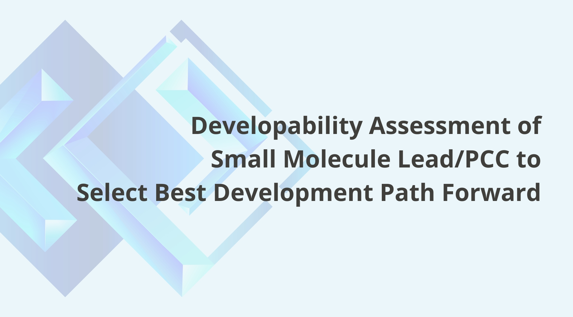 Developability Assessment of Small Molecule Lead/PCC to Select Best Development Path Forward