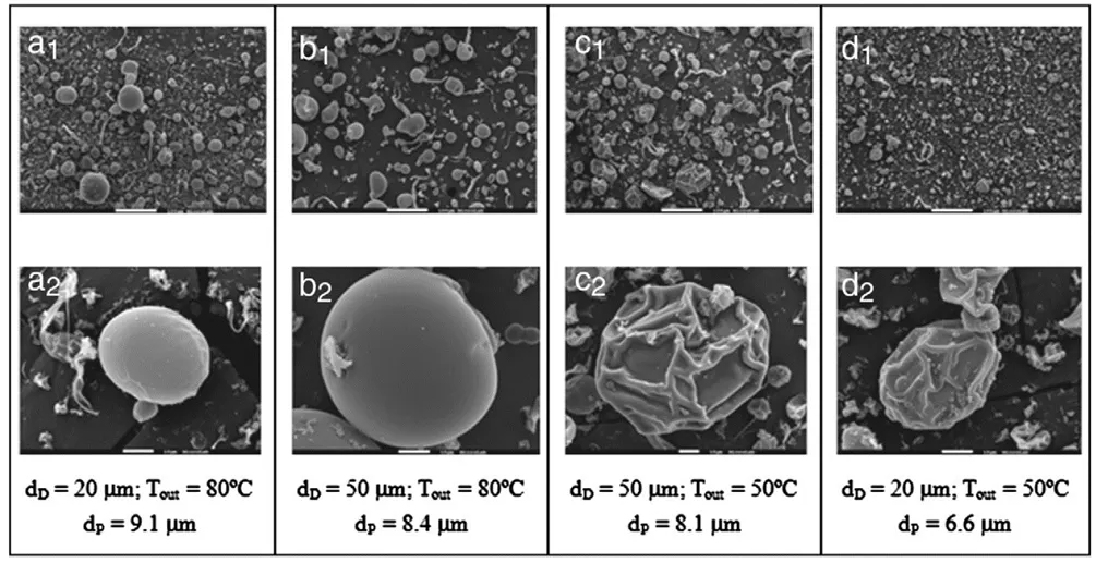 SEM Images of HPMCP Spray-Dried Particles Under Different Process Conditions