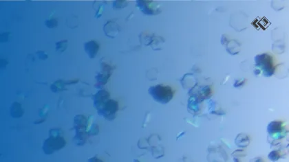 Optimal Preclinical Formulation Development